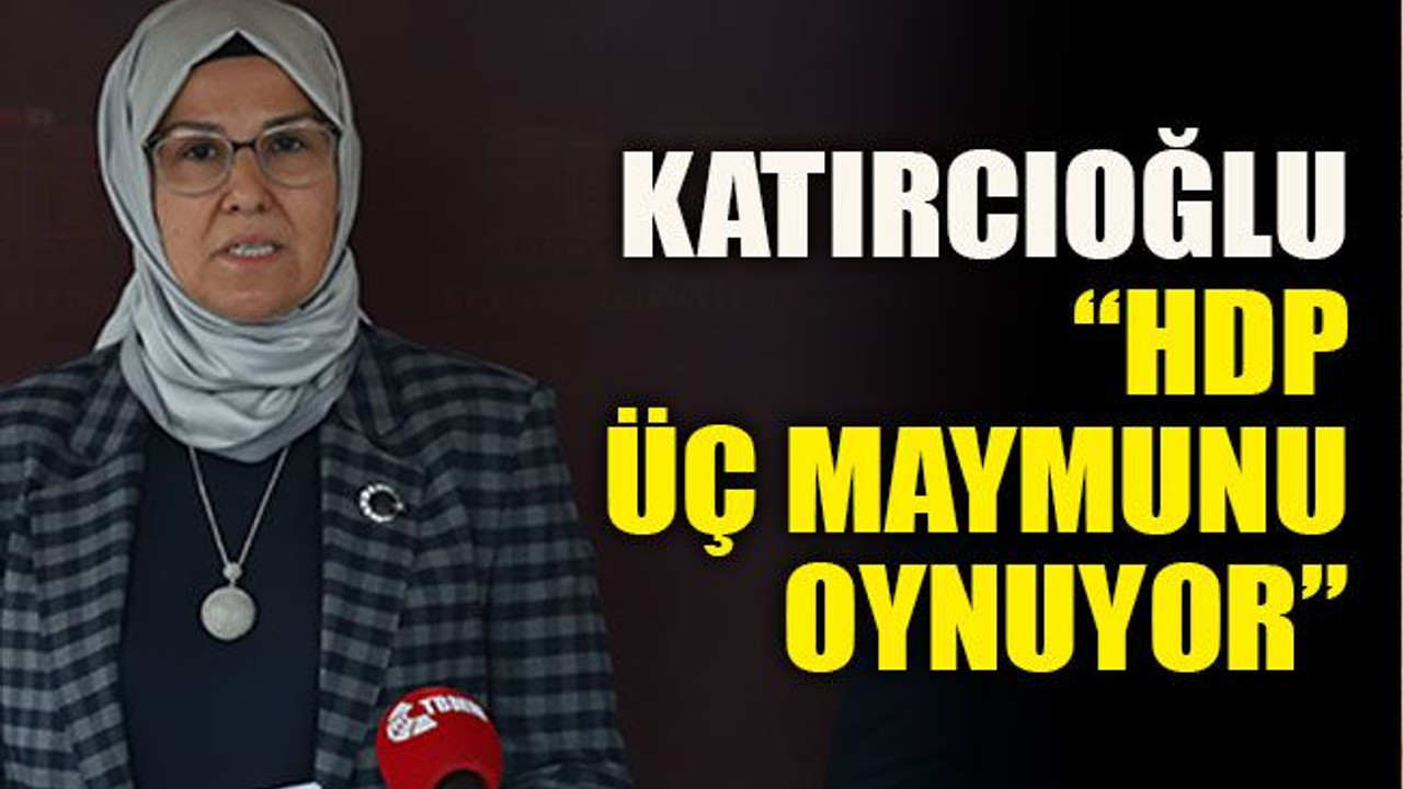 Katırcıoğlu: “HDP üç maymunu oynuyor”