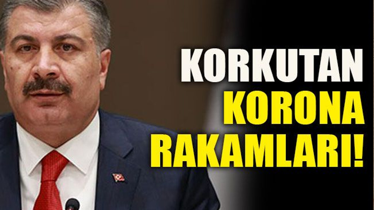 Korkutan korona rakamları!
