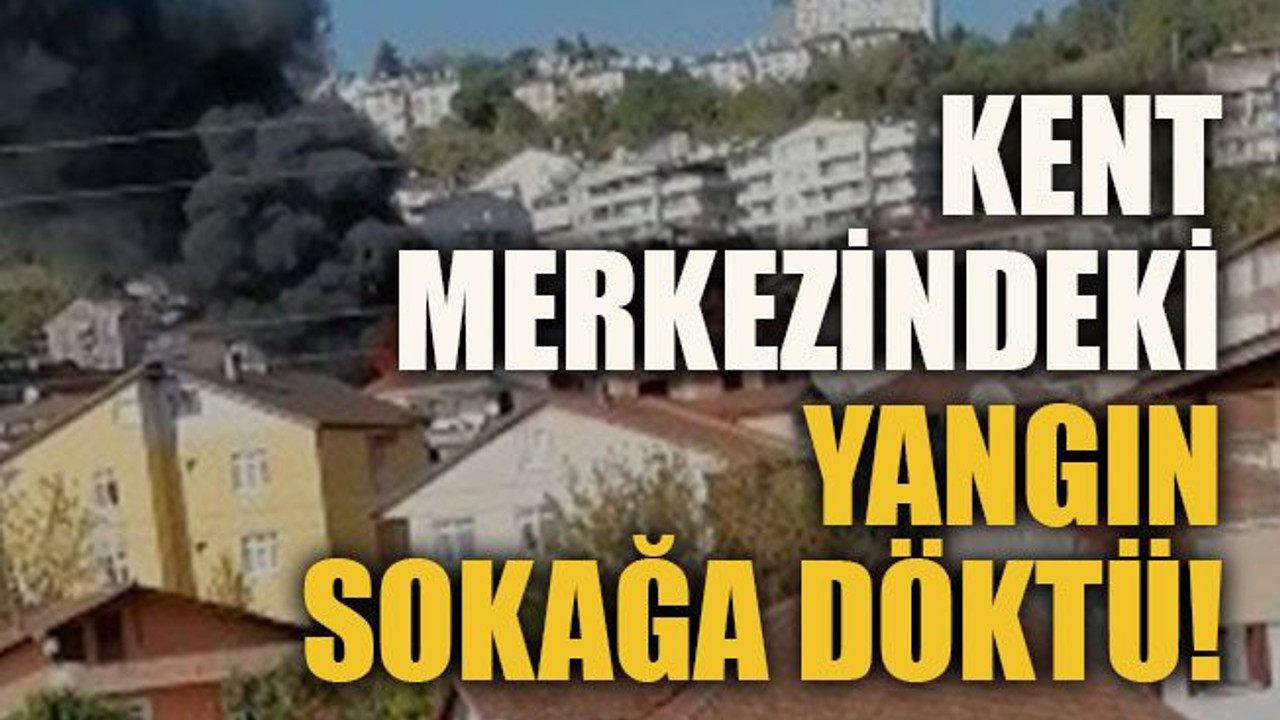 Kent merkezindeki yangın sokağa döktü!