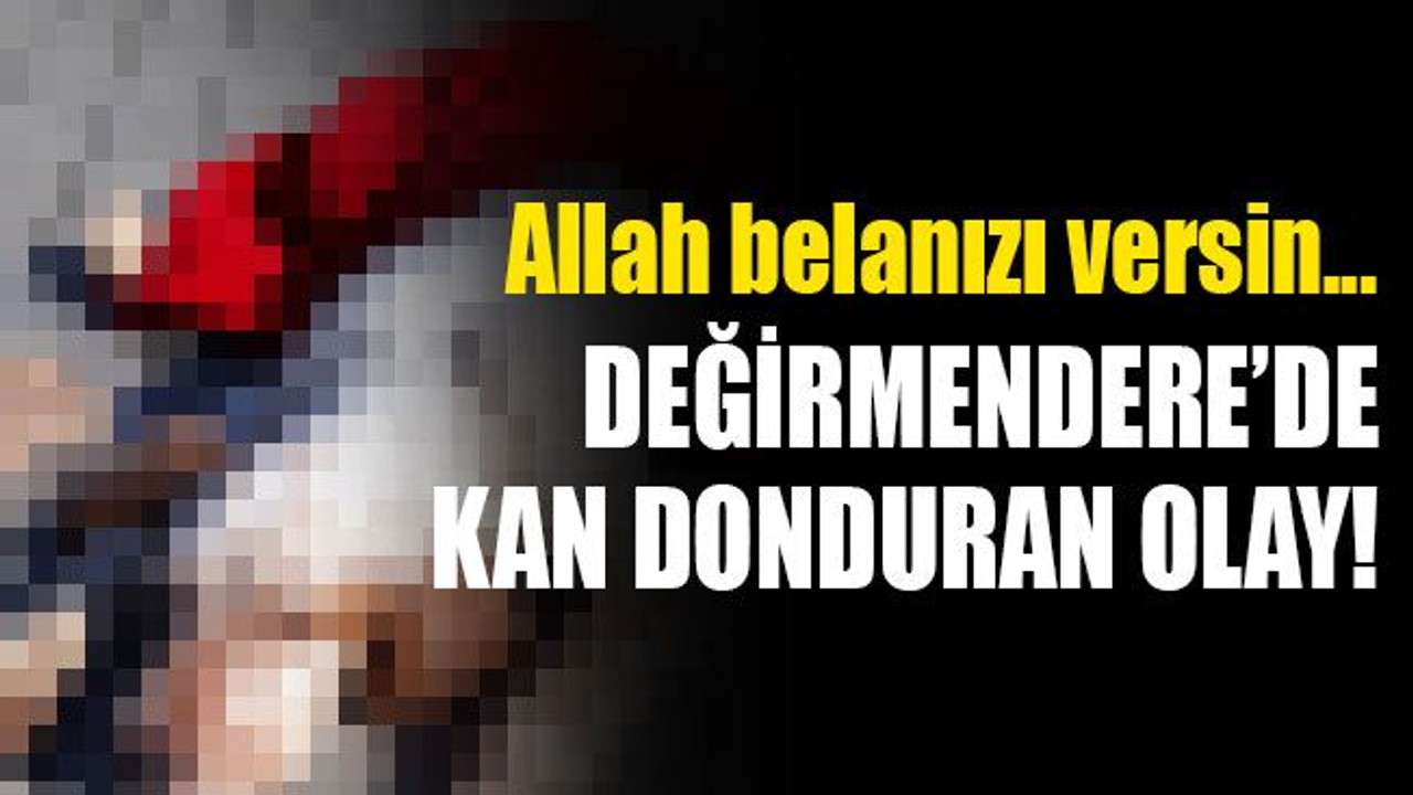 Değirmendere’de kan donduran olay! Siz nasıl bir yaratıksınız?