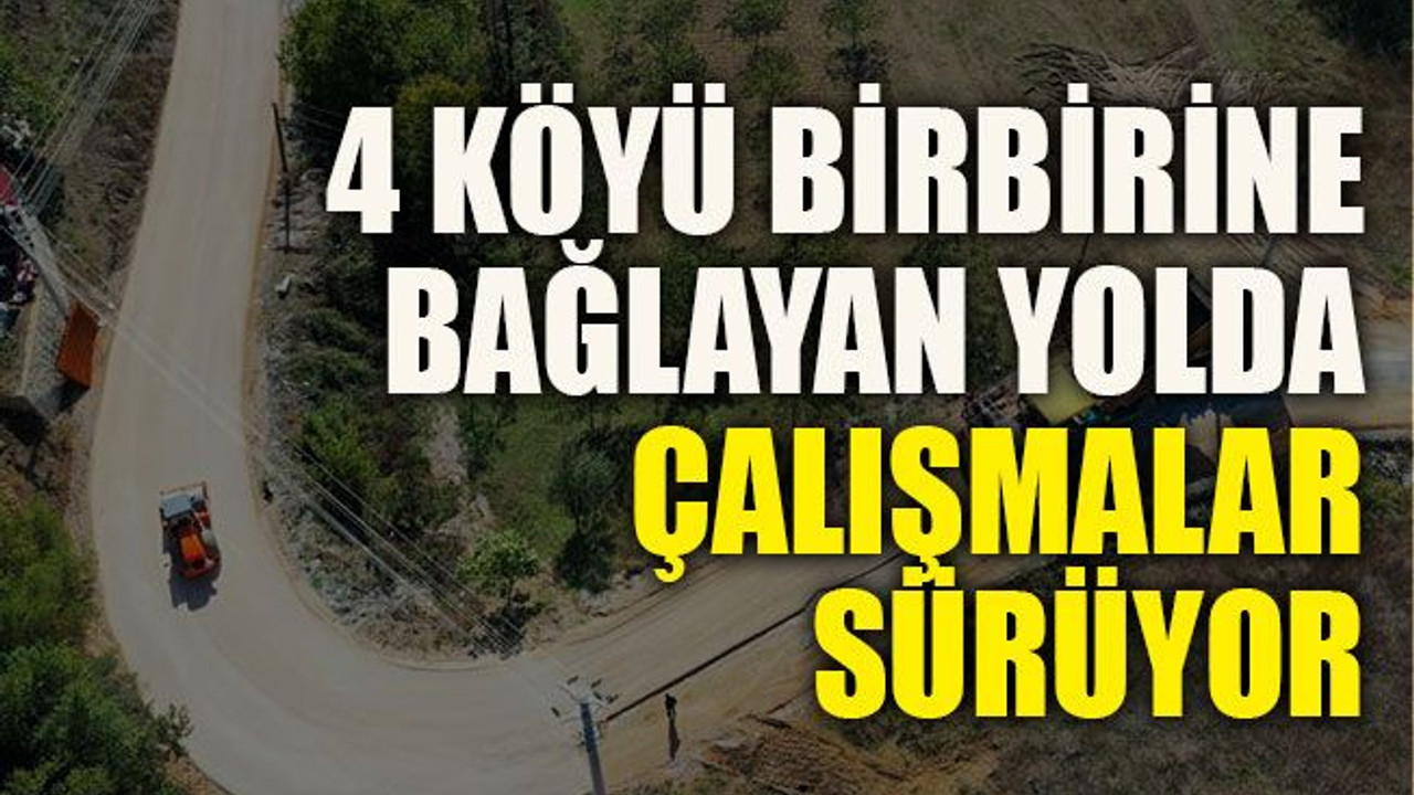 4 köyü birbirine bağlayan yolda çalışmalar sürüyor