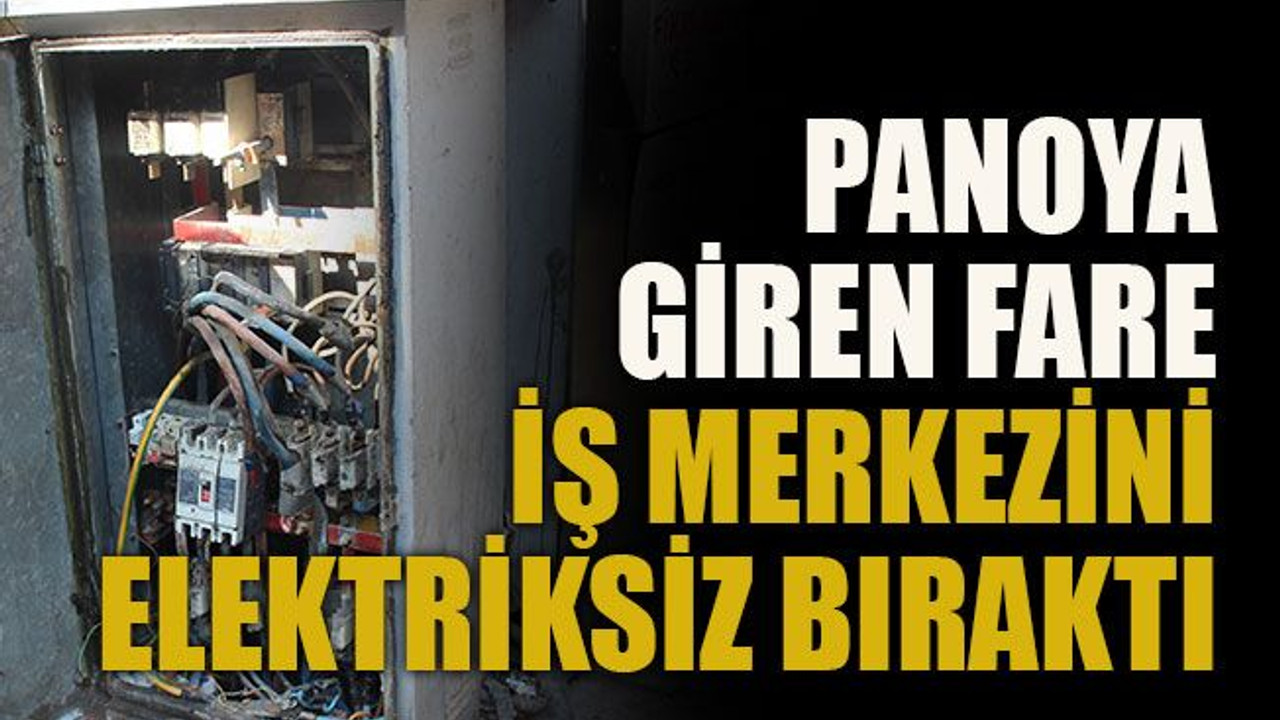 Panoya giren fare iş merkezini elektriksiz bıraktı