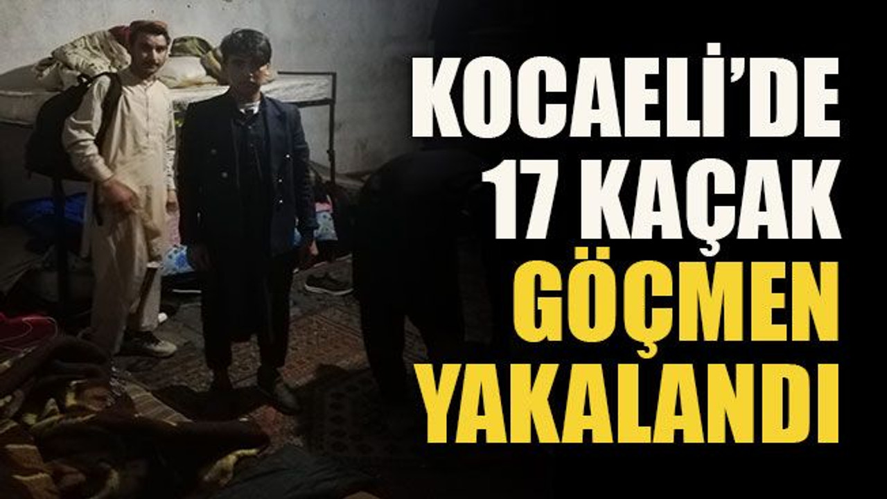 Kocaeli’de 17 kaçak göçmen yakalandı