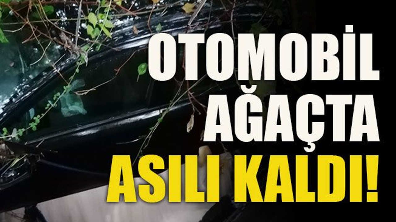 Taşan derenin sürüklediği otomobil ağaçta asılı kaldı!