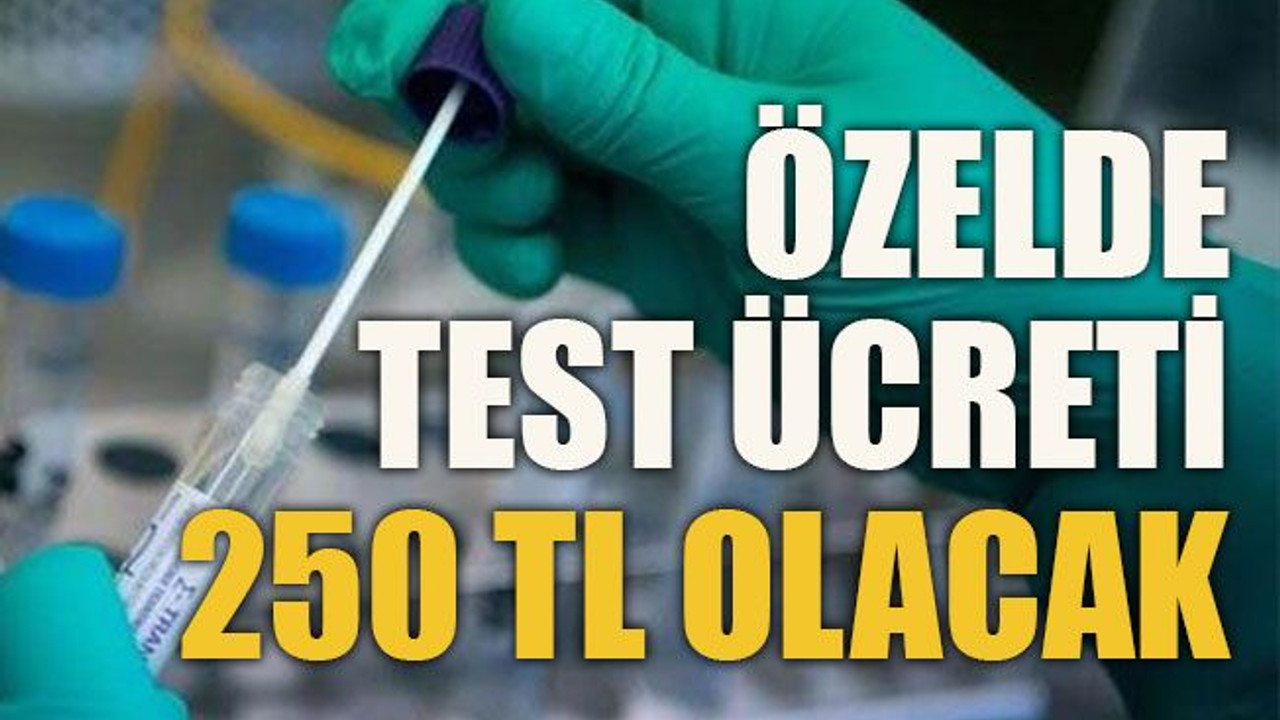 Özelde test ücreti 250 TL olacak