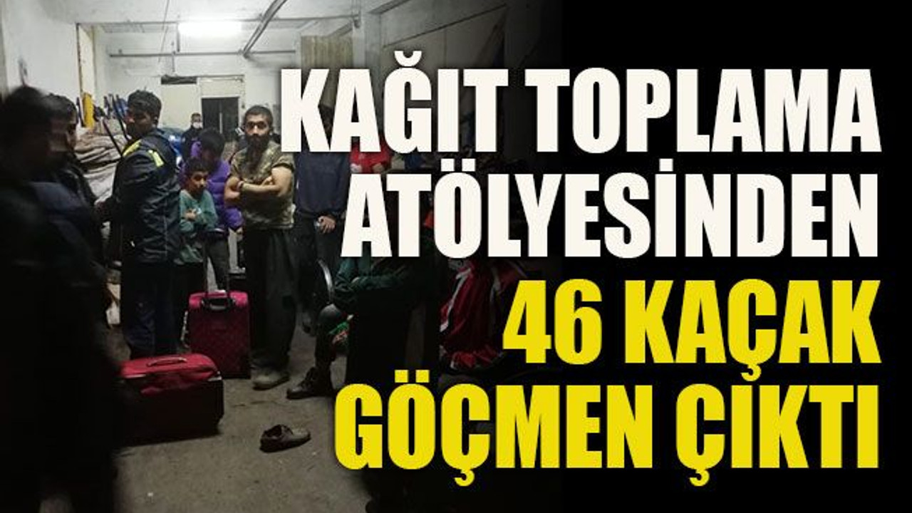 Kağıt toplama atölyesinden 46 kaçak göçmen çıktı
