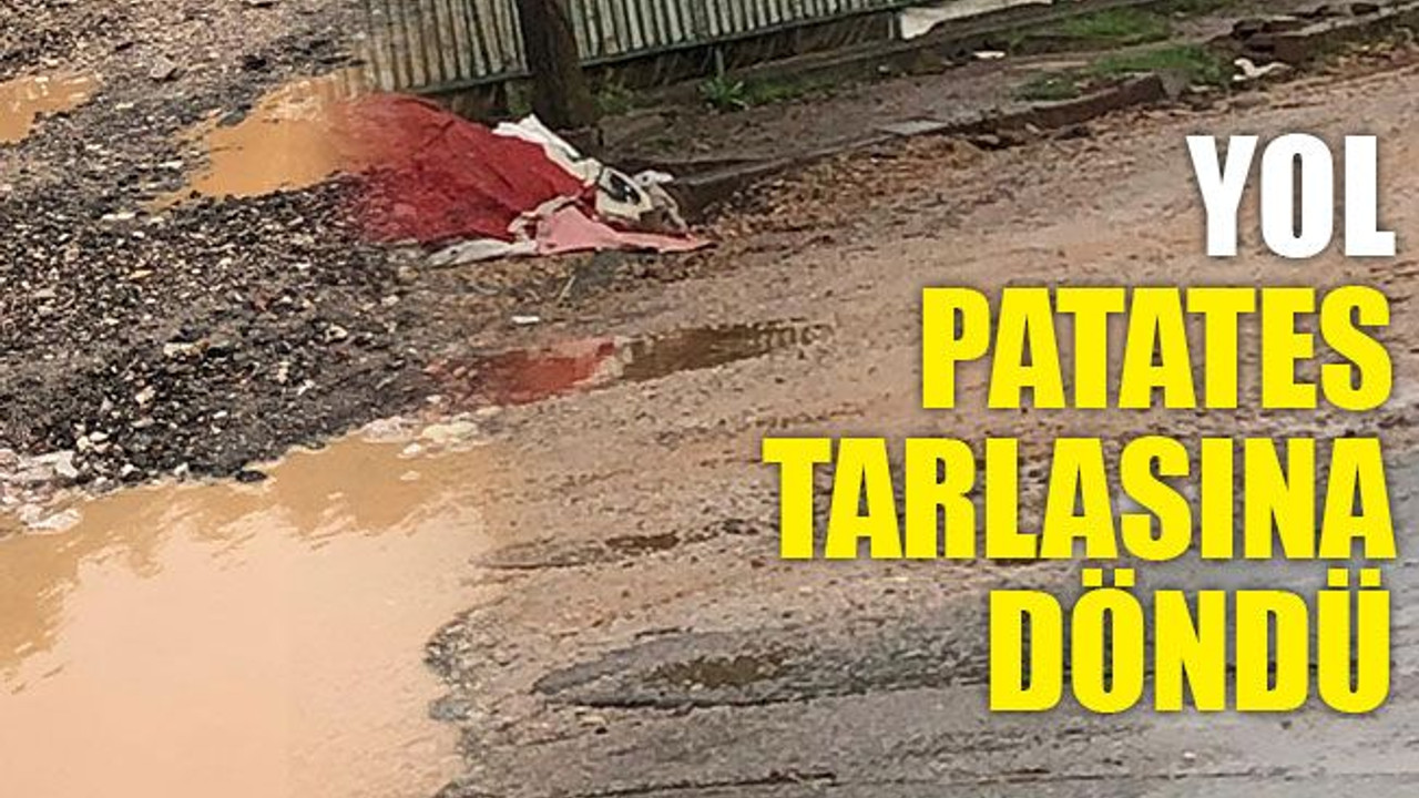 Yol, patates tarlasına döndü