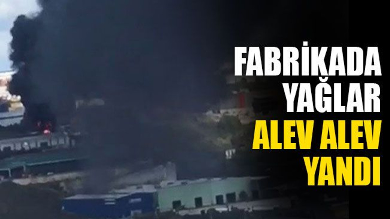 Fabrikadaki yağlar, alev alev yandı