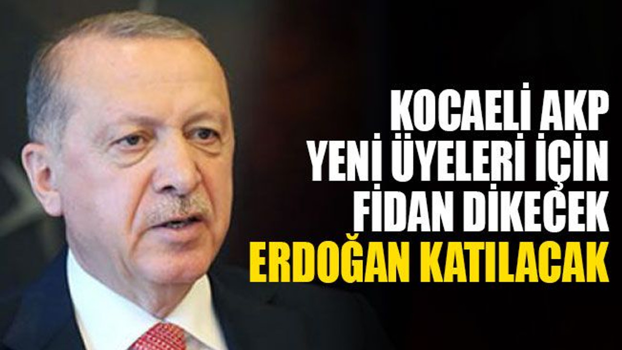 AKP, yeni üyeleri için fidan dikecek, Erdoğan da katılacak