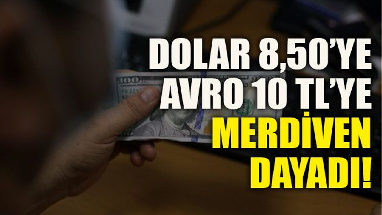 Dolar 8,50’ye, avro 10 TL’ye merdiven dayadı!