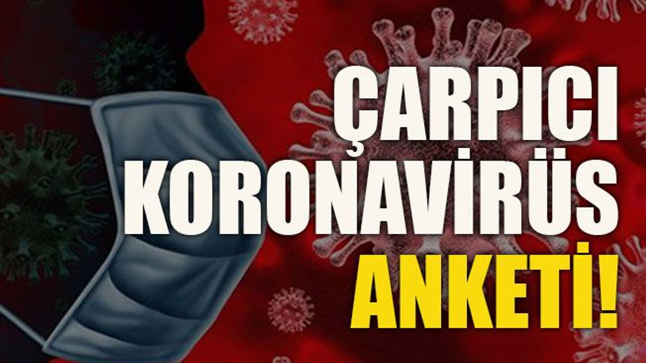 Çarpıcı koronavirüs anketi!