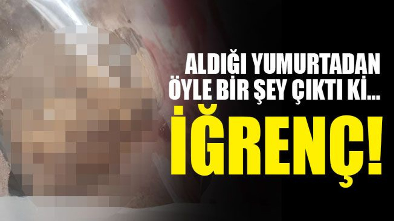 Aldığı yumurtadan öyle bir şey çıktı ki… İĞRENÇ!