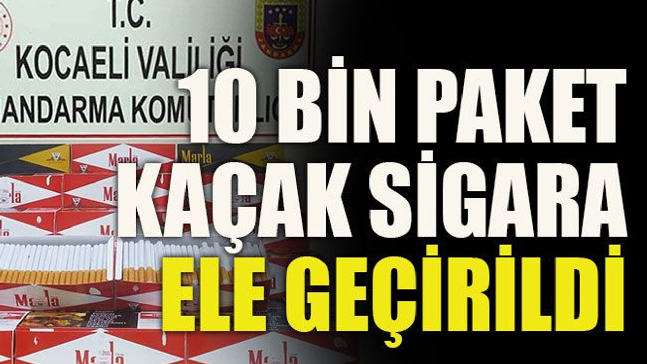 10 bin paket kaçak sigara ele geçirildi