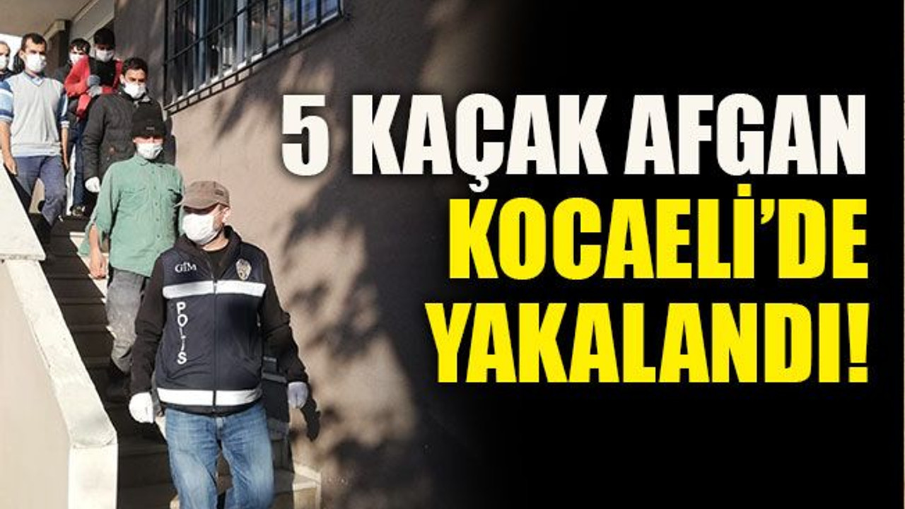 5 kaçak Afgan Kocaeli’de yakalandı!