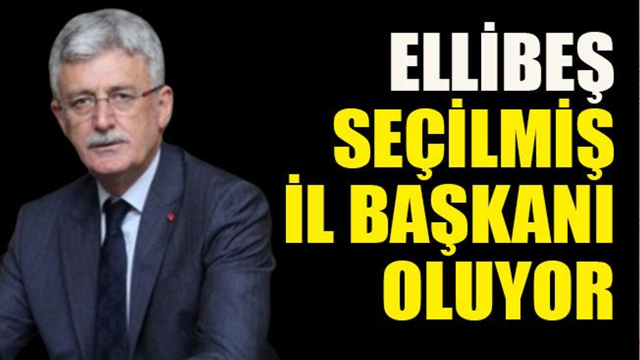Ellibeş seçilmiş il başkanı oluyor