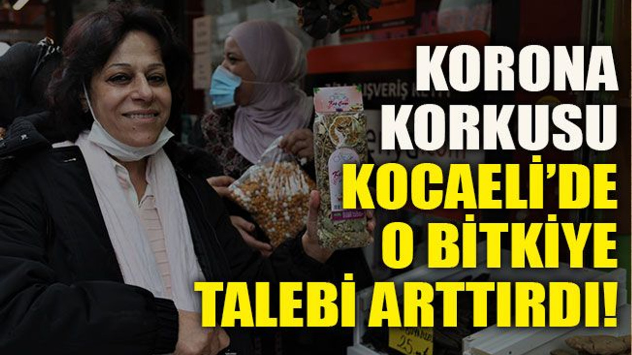 Korona korkusu Kocaeli’de o bitkiye talebi arttırdı!