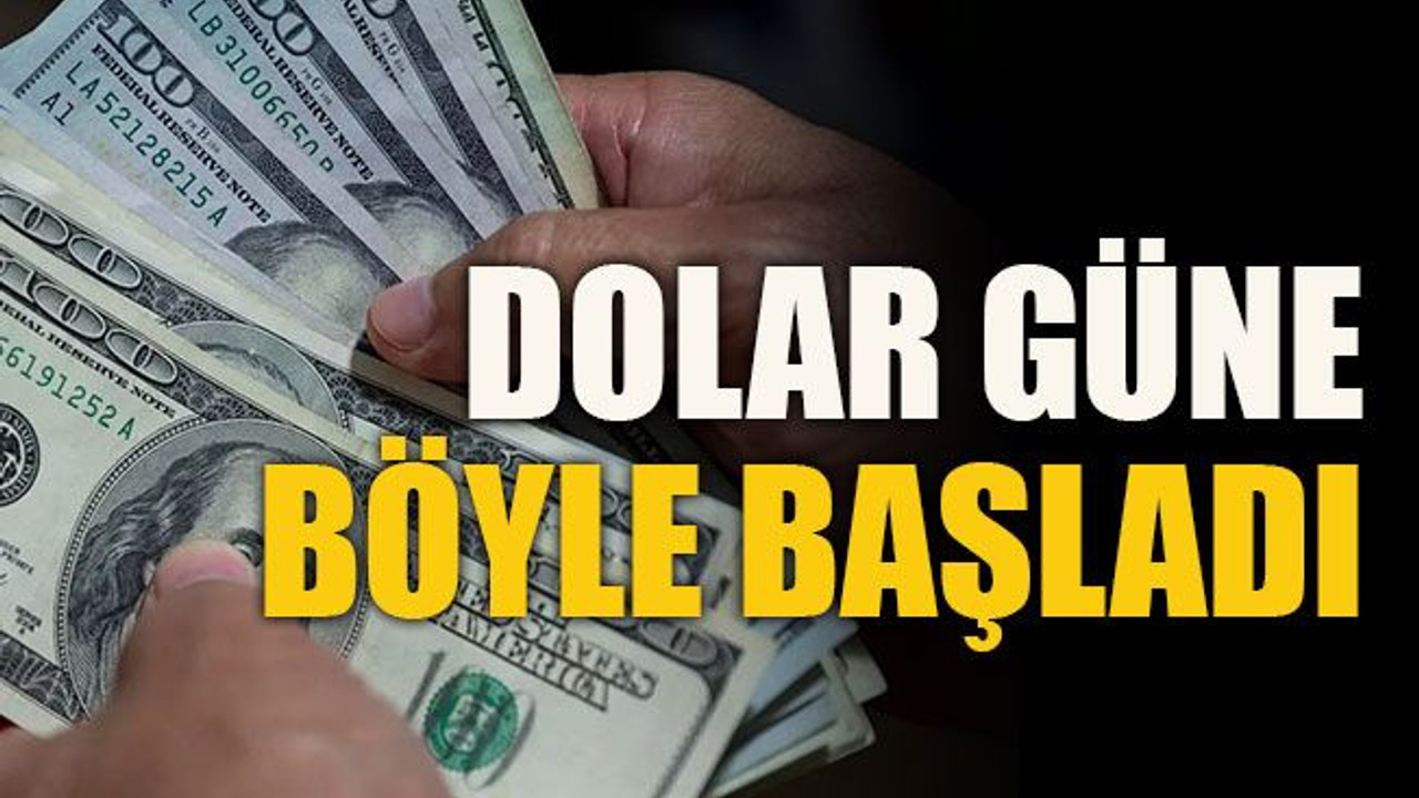 Albayrak'ın yerine Lütfi Elvan'ın atanmasının ardından dolar güne böyle başladı