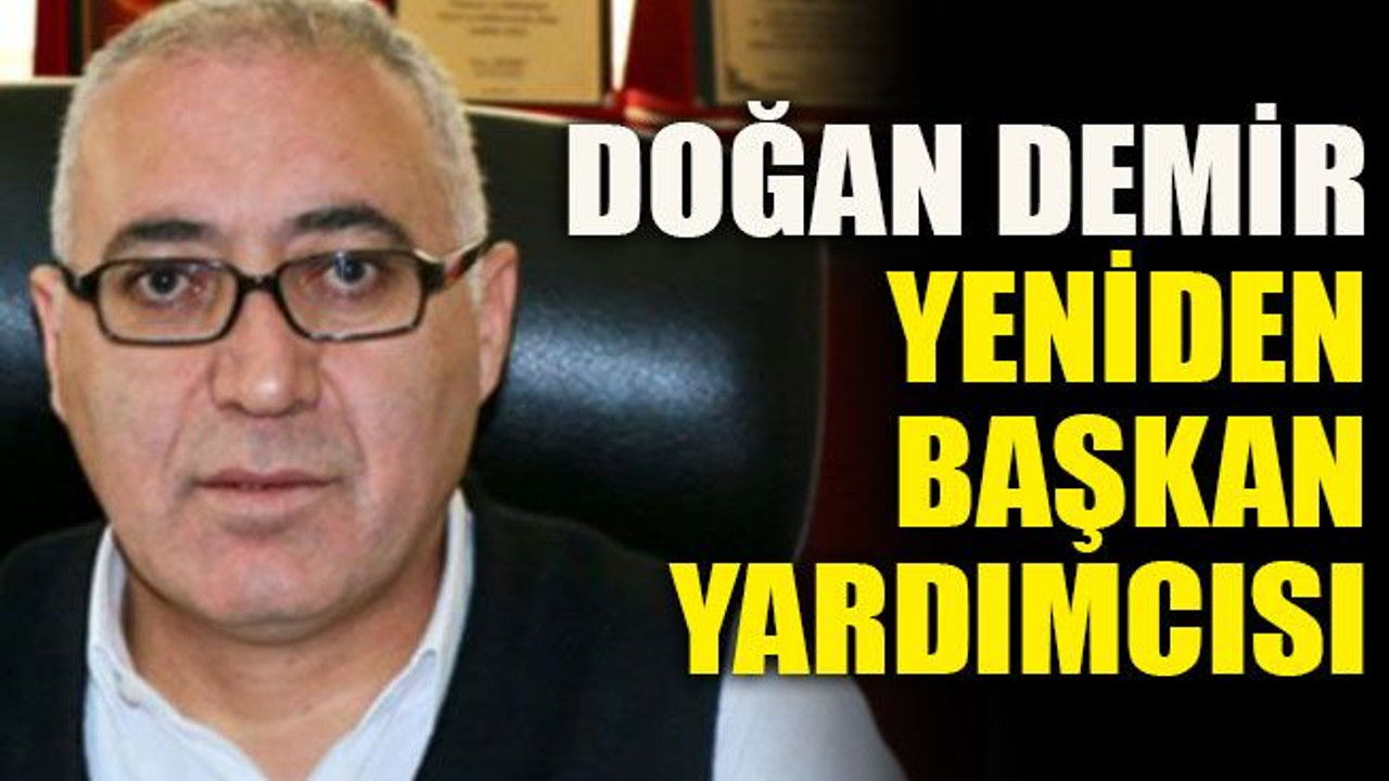 Doğan Demir yeniden başkan yardımcısı