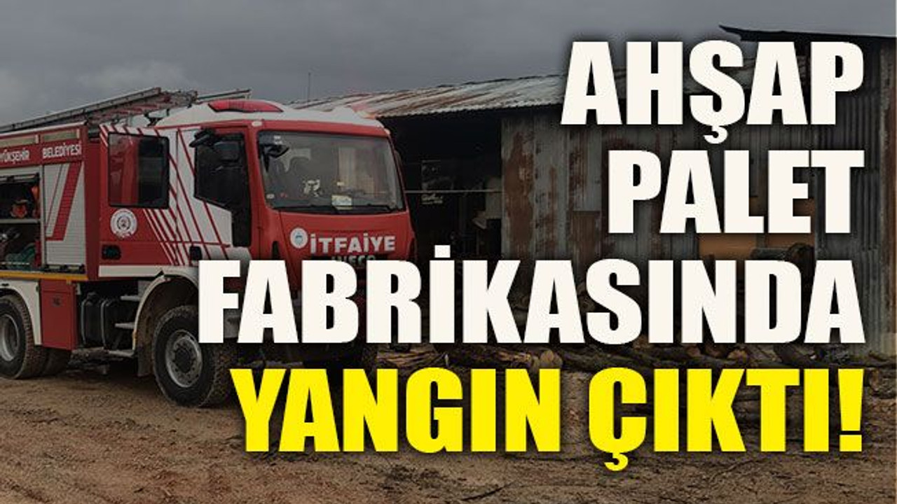 Ahşap palet fabrikasında yangın çıktı!