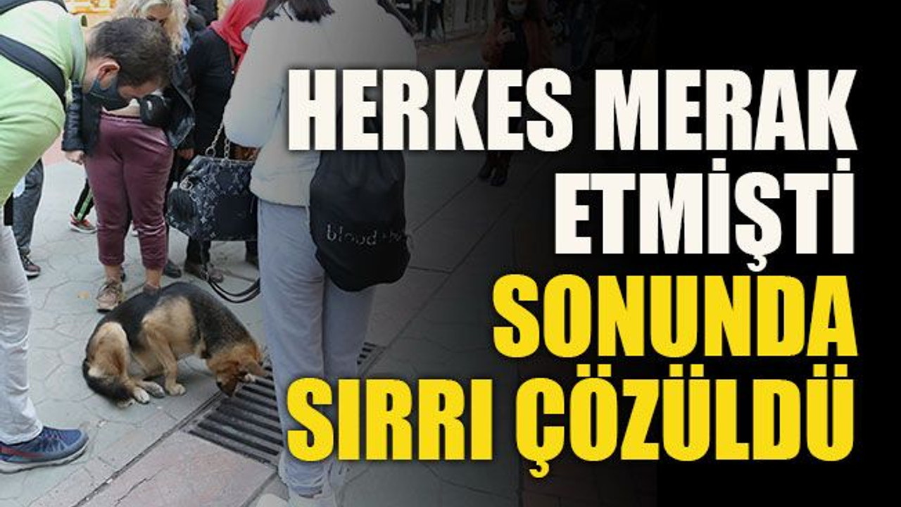 Herkes merak etmişti sonunda sırrı çözüldü