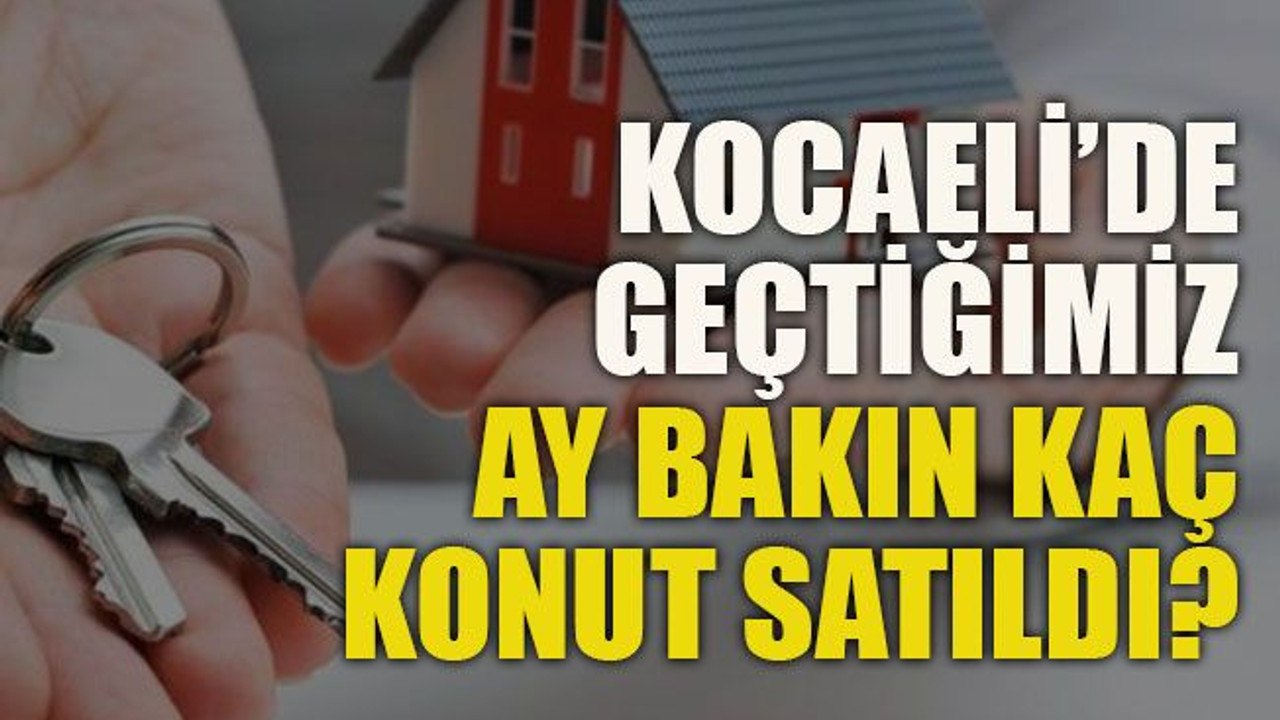 Kocaeli’de geçtiğimiz ay bakın kaç konut satıldı?