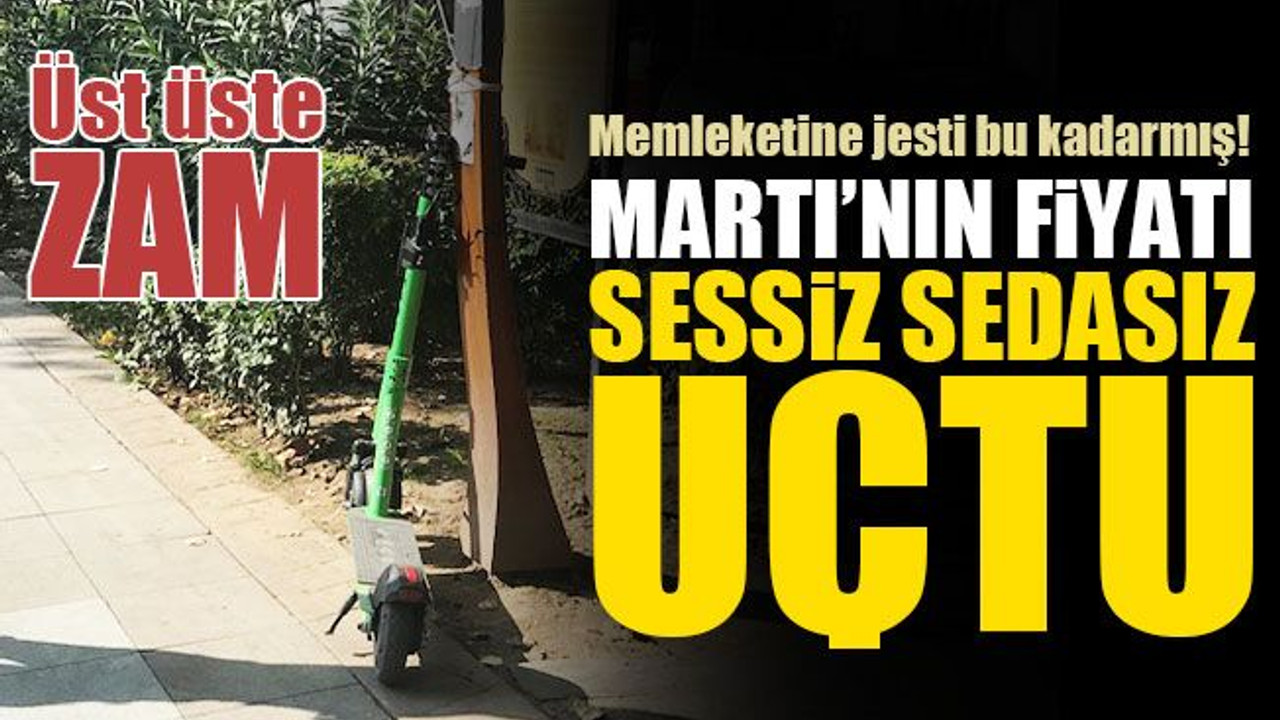 Kocaeli'de Martının fiyatı sessiz sedasız uçtu!