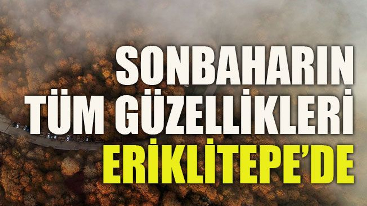 Sonbaharın tüm güzellikleri Eriklitepe’de