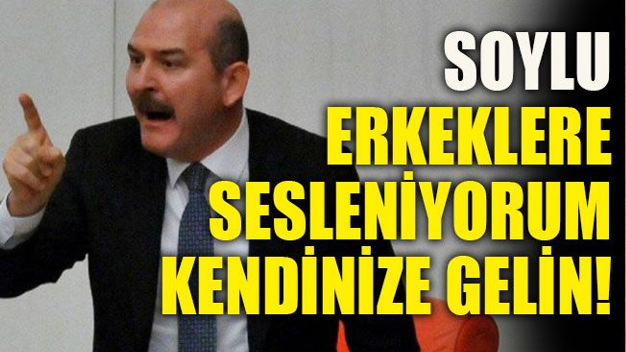 Soylu: Erkeklere sesleniyorum, kendinize gelin!