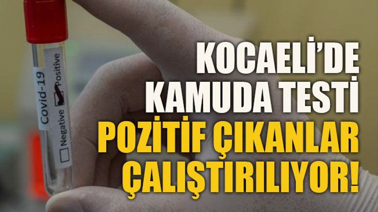 Kocaeli’de kamuda testi pozitif çıkanlar çalıştırılıyor!