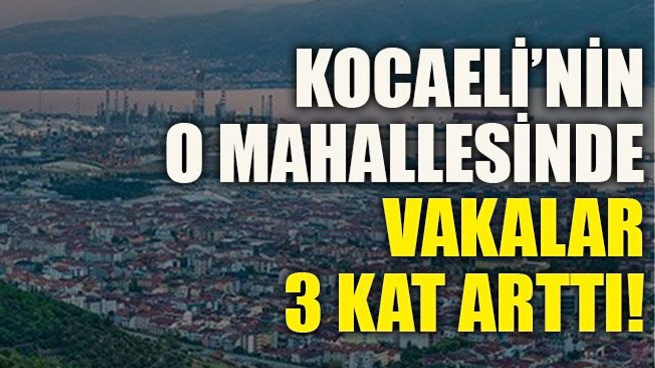 Kocaeli’nin o mahallesinde vakalar 3 kat arttı!