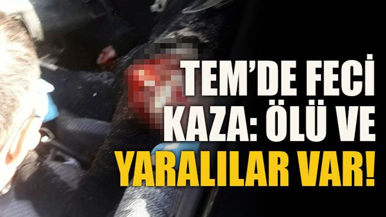 TEM’de feci kaza: Ölü ve yaralılar var!