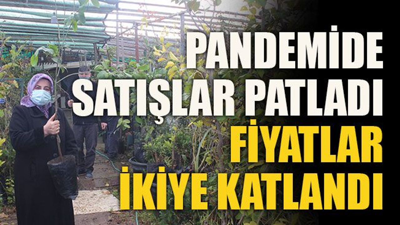 Pandemide satışlar patladı fiyatlar ikiye katlandı