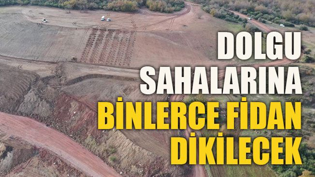 Dolgu sahalarına binlerce fidan dikilecek