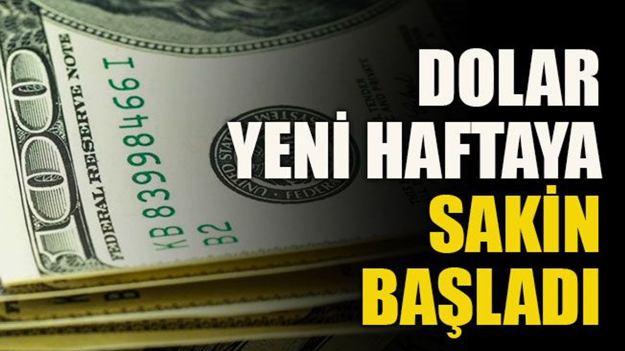 Dolar yeni haftaya sakin başladı