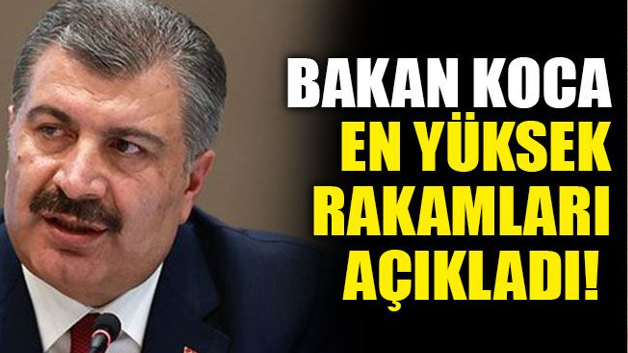 Bakan Koca en yüksek rakamları açıkladı!