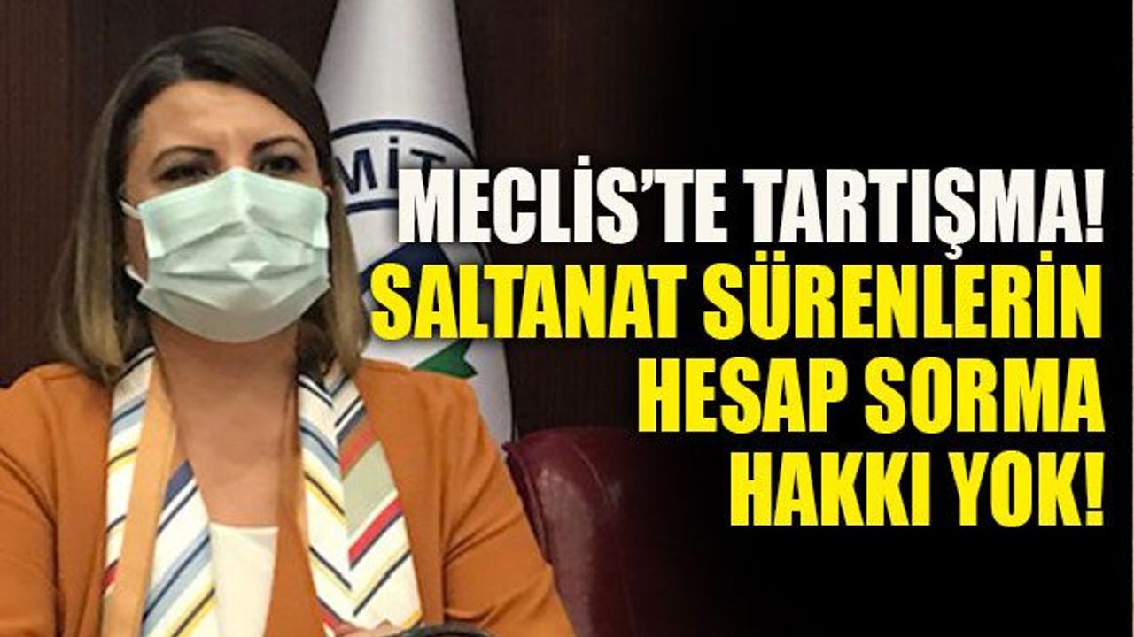 Meclis’te tartışma! Saltanat sürenlerin hesap sorma hakkı yok!