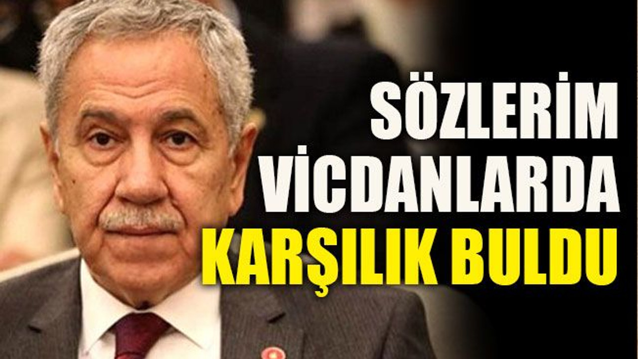 Arınç: Sözlerim vicdanlarda karşılık buldu