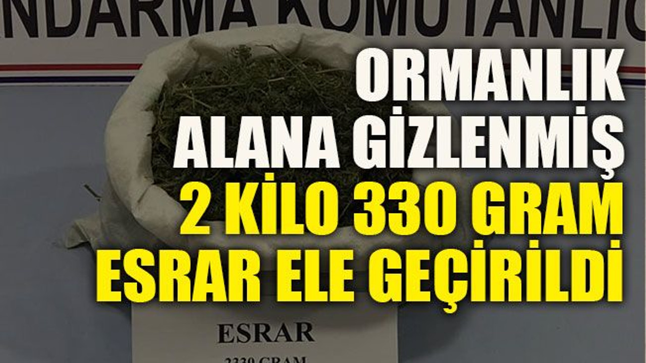 Ormanlık alana gizlenmiş 2 kilo 330 gram esrar ele geçirildi
