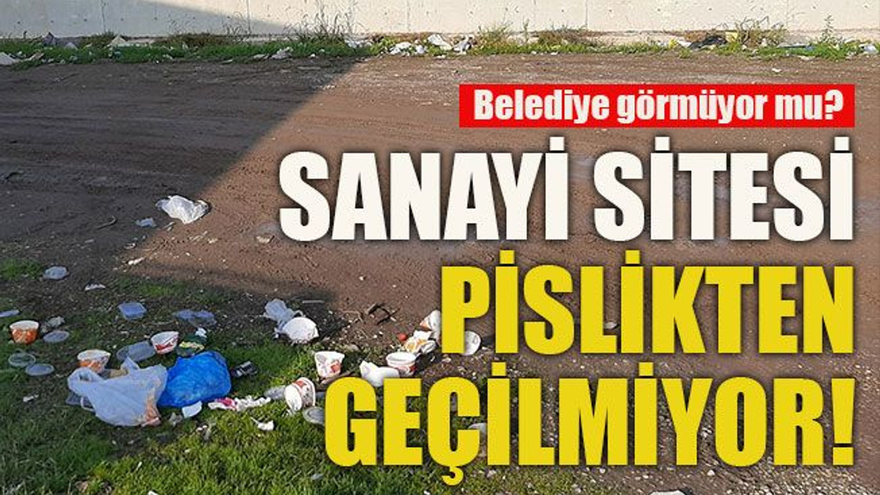 Belediye görmüyor mu? Sanayi sitesi pislikten geçilmiyor!