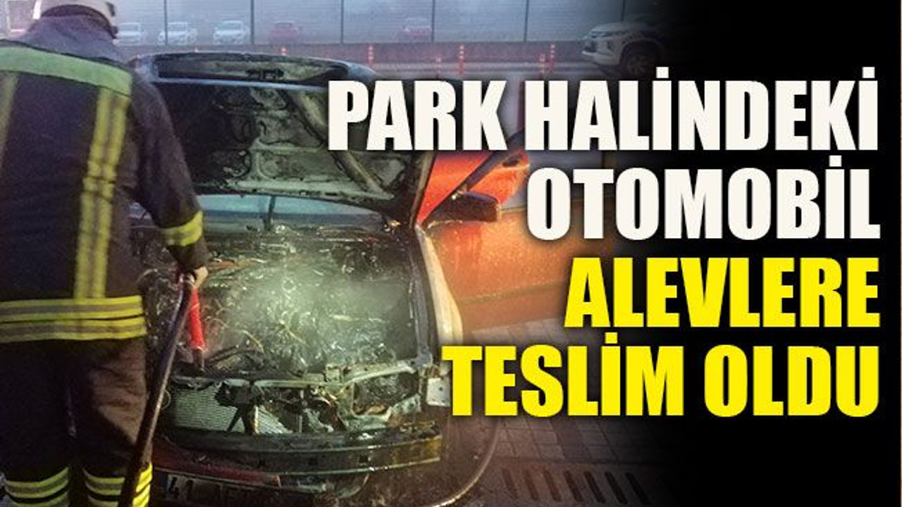 Park halindeki otomobil alevlere teslim oldu