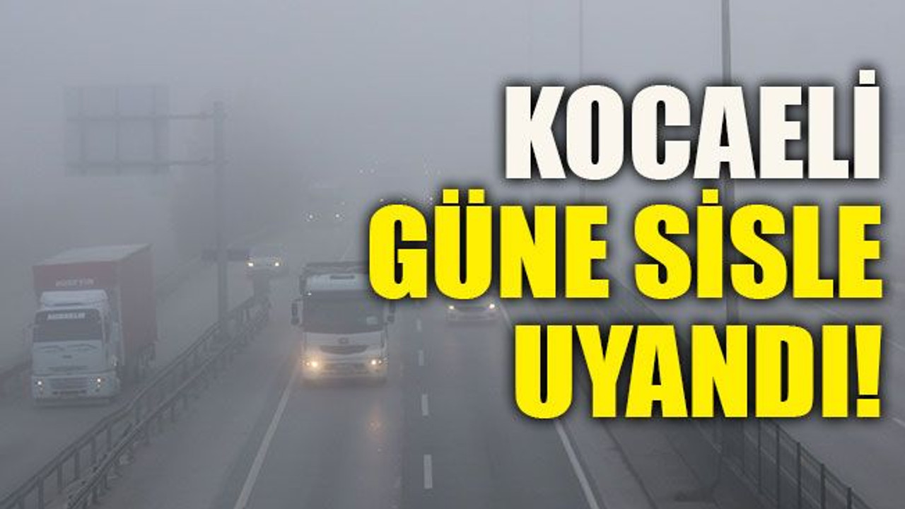 Kocaeli güne sisle uyandı!