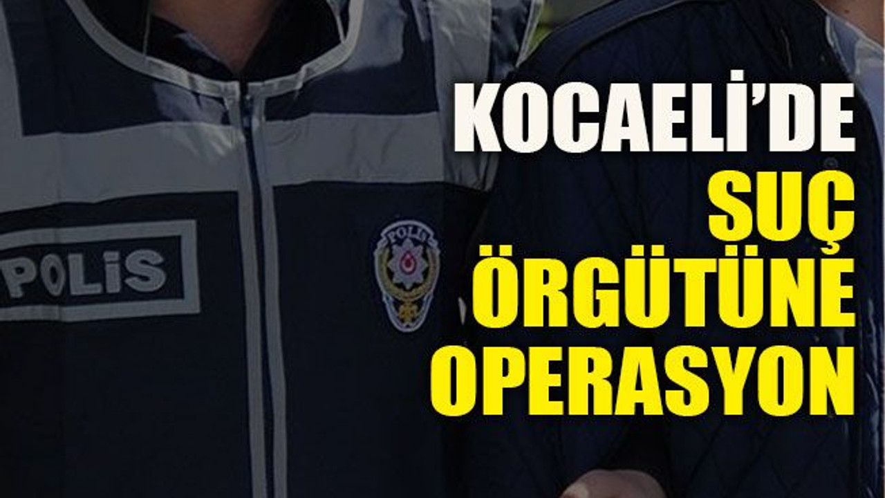 Kocaeli’de suç örgütüne operasyon
