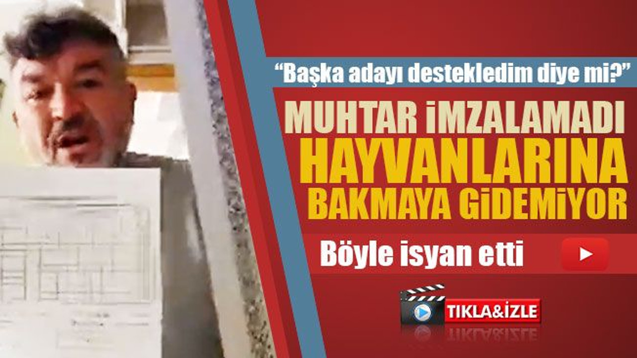 Öğretmenden, Muhtar ile ilgili şok iddia!
