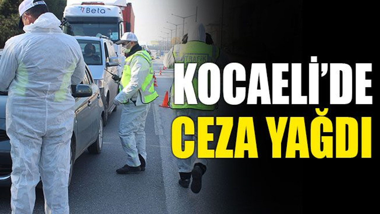 Kocaeli’de ceza yağdı
