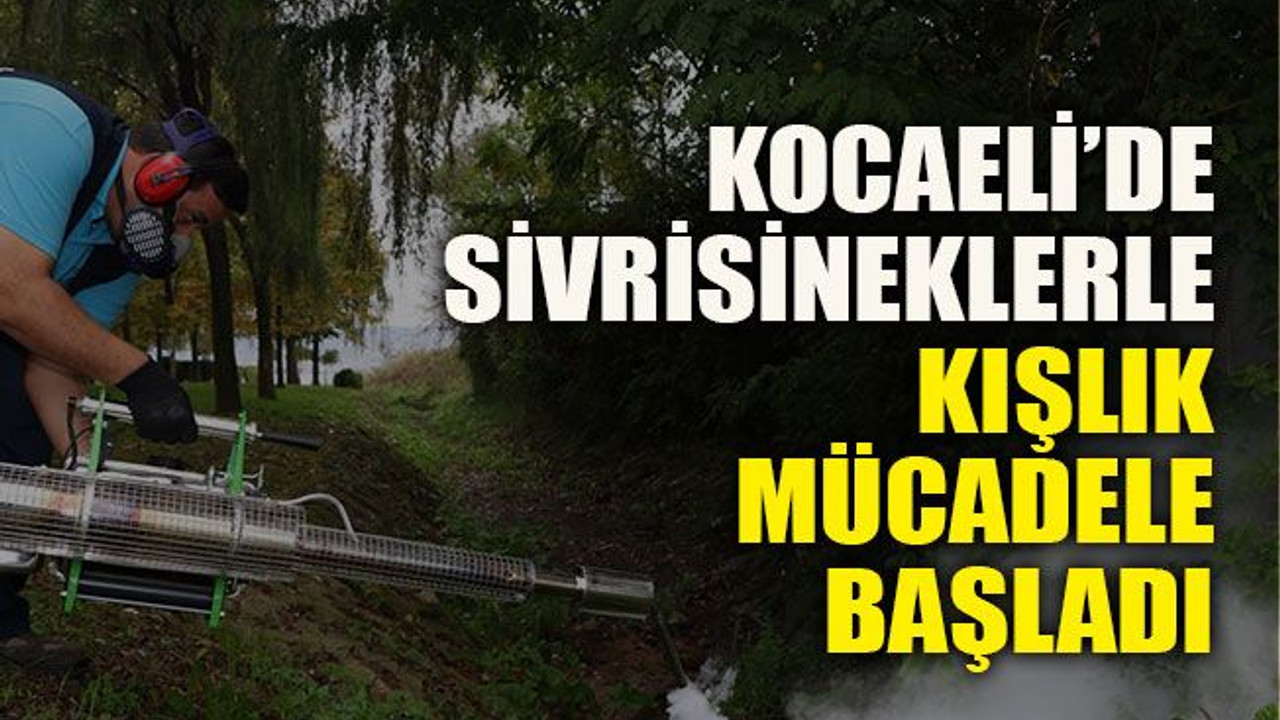 Kocaeli’de sivrisineklerle kışlık mücadele başladı