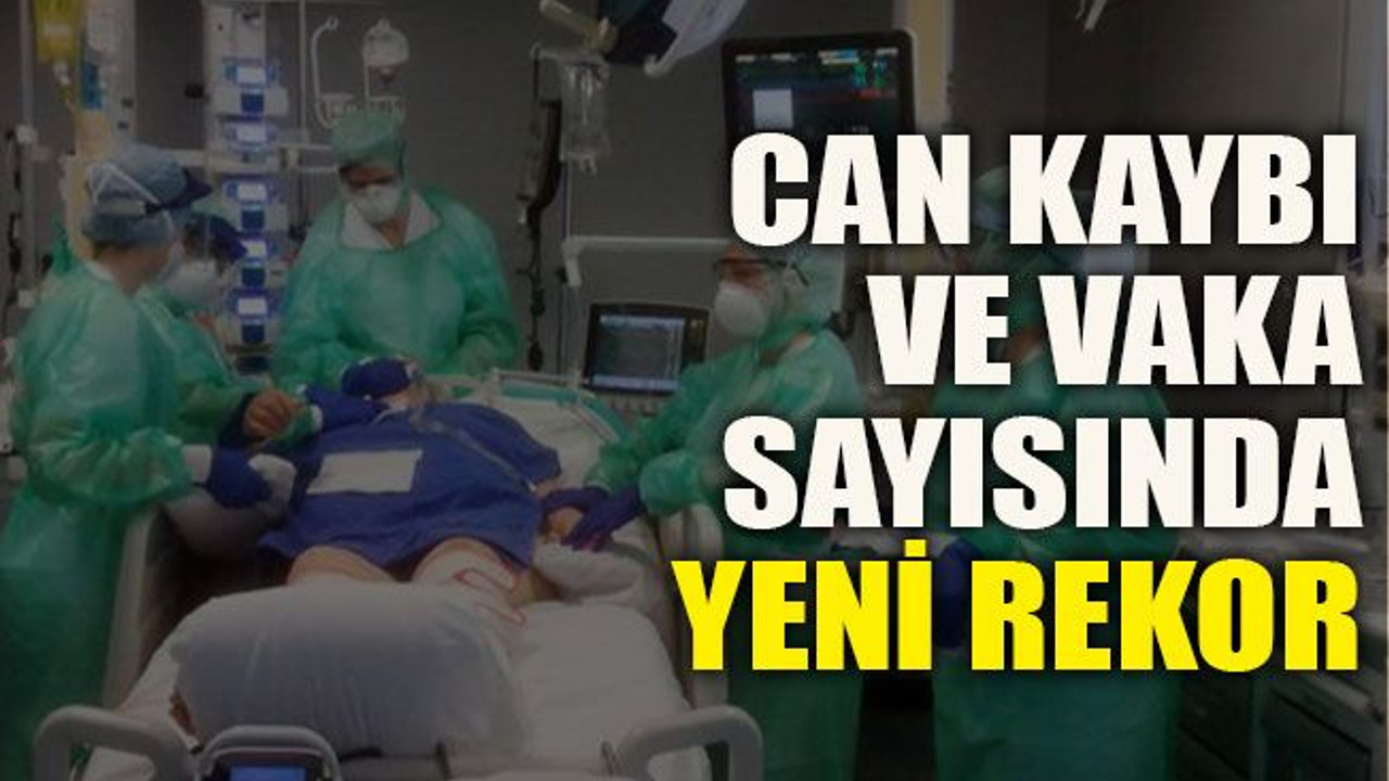 Can kaybı ve vaka sayısında yeni rekor