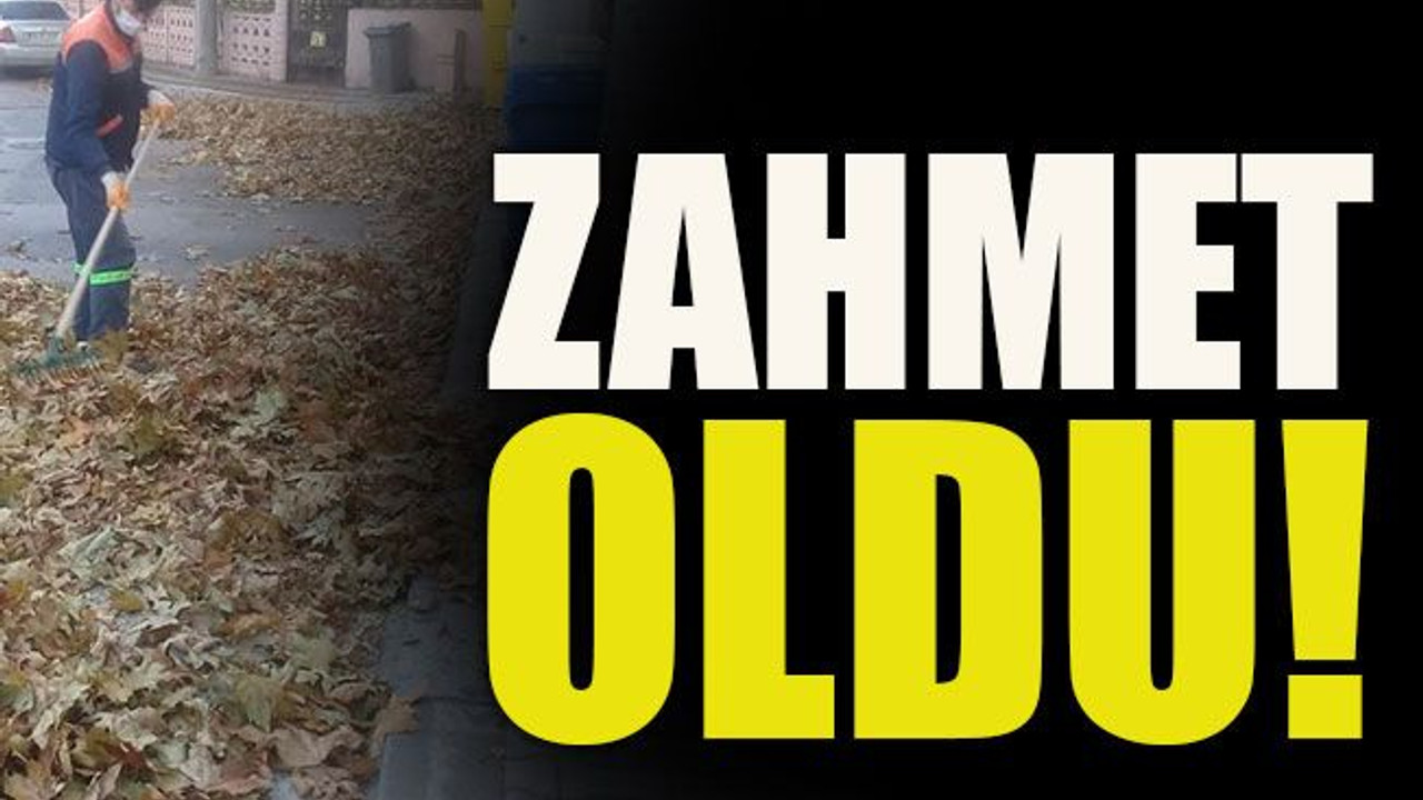Zahmet oldu!