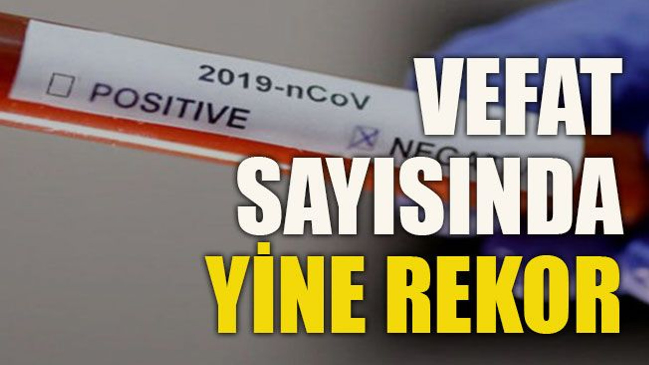 Vefat sayısında bir yeni rekor daha