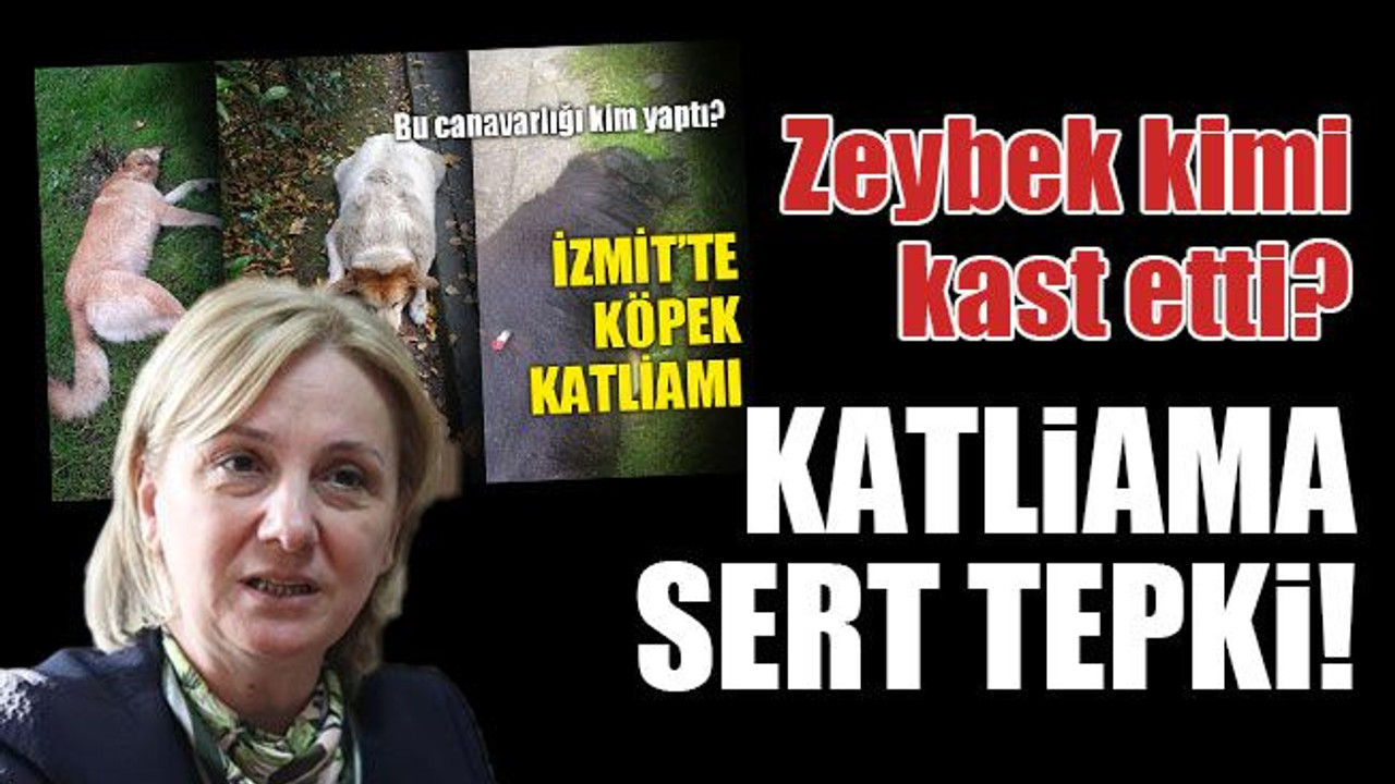 Katliama sert tepki! Zeybek kimi kast etti?