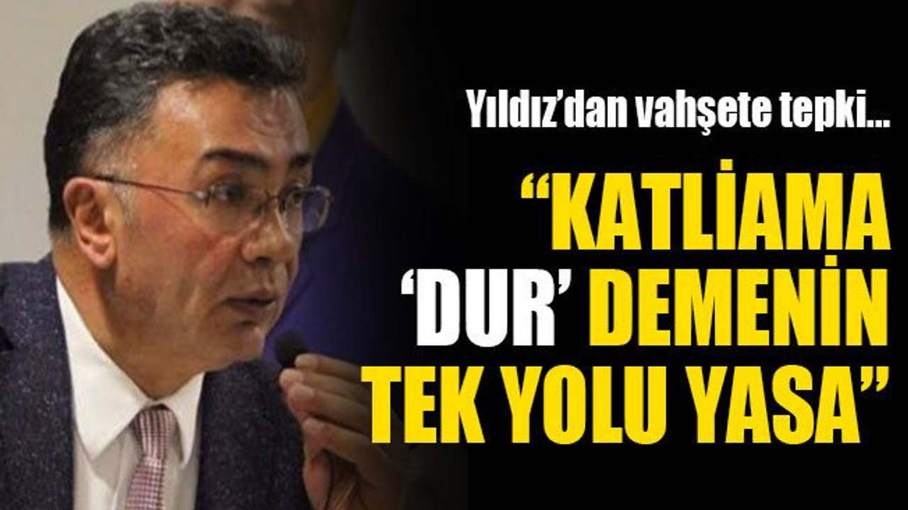 Şanbaz Yıldız: Katliama ‘dur’ demenin tek yolu yasa